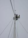 mast-top.jpg