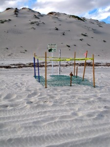 What kind of shrine might this be?